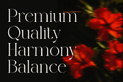 Rolling Fonte - Luxury Typeface, a Serif Font by Muflieart (Thumbnail 2 of 12)