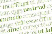 Renabyl - Serif Family Font, a Serif Font by Rishsketch (Thumbnail 6 of 15)