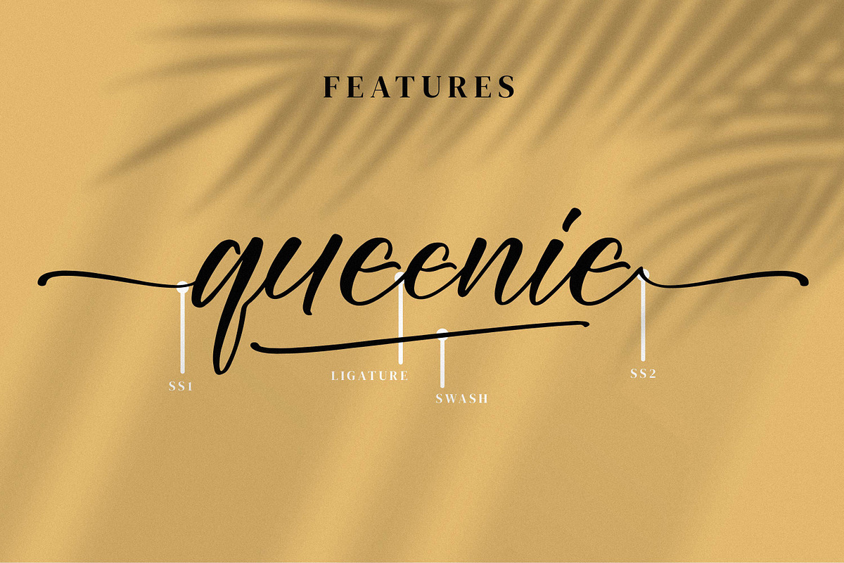 Onadia, a Script Font by Integritype Studio (Photo 14 of 15)