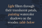 CS Cartage – Contemporary Font, a Serif Font by Craft Supply Co. (Thumbnail 3 of 8)