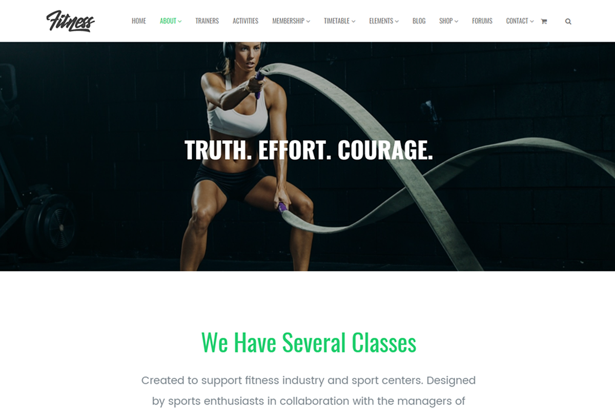 44 Premium WordPress Themes Bundle, a WordPress Template by Visualmodo (Photo 13 of 45)