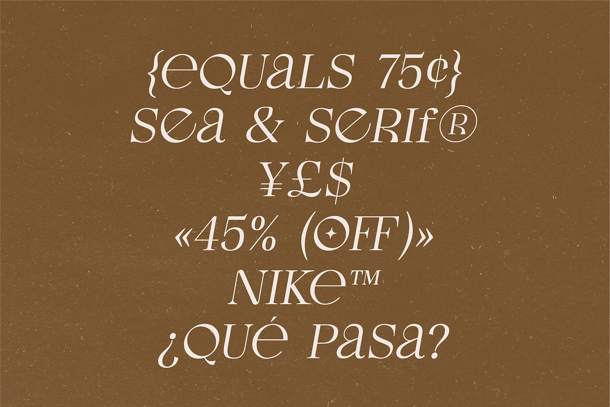 Kassan - Luxury Display Serif Font, a Serif Font by Studio Aurora (Photo 6 of 11)