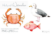 Nauticolour | Nautical Collection, an Illustration by Jen Digital Art (Thumbnail 3 of 7)