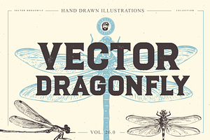 VECTOR DRAGONFLY BUNDLE VOL. 26