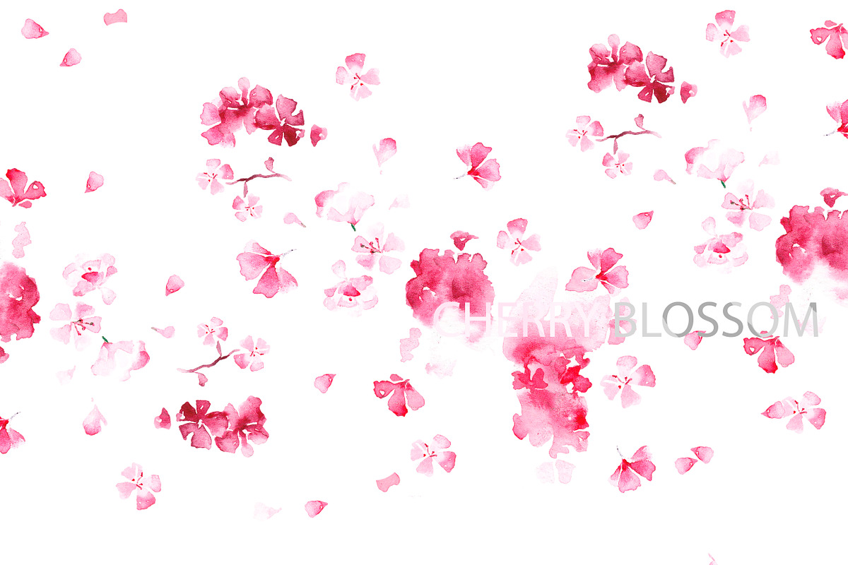 Cherry blossom, a Person Illustration by Knysh Ksenya (Photo 2 of 7)