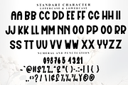 Story Bride, a Serif Font by InermediaSTUDIO (Thumbnail 4 of 7)