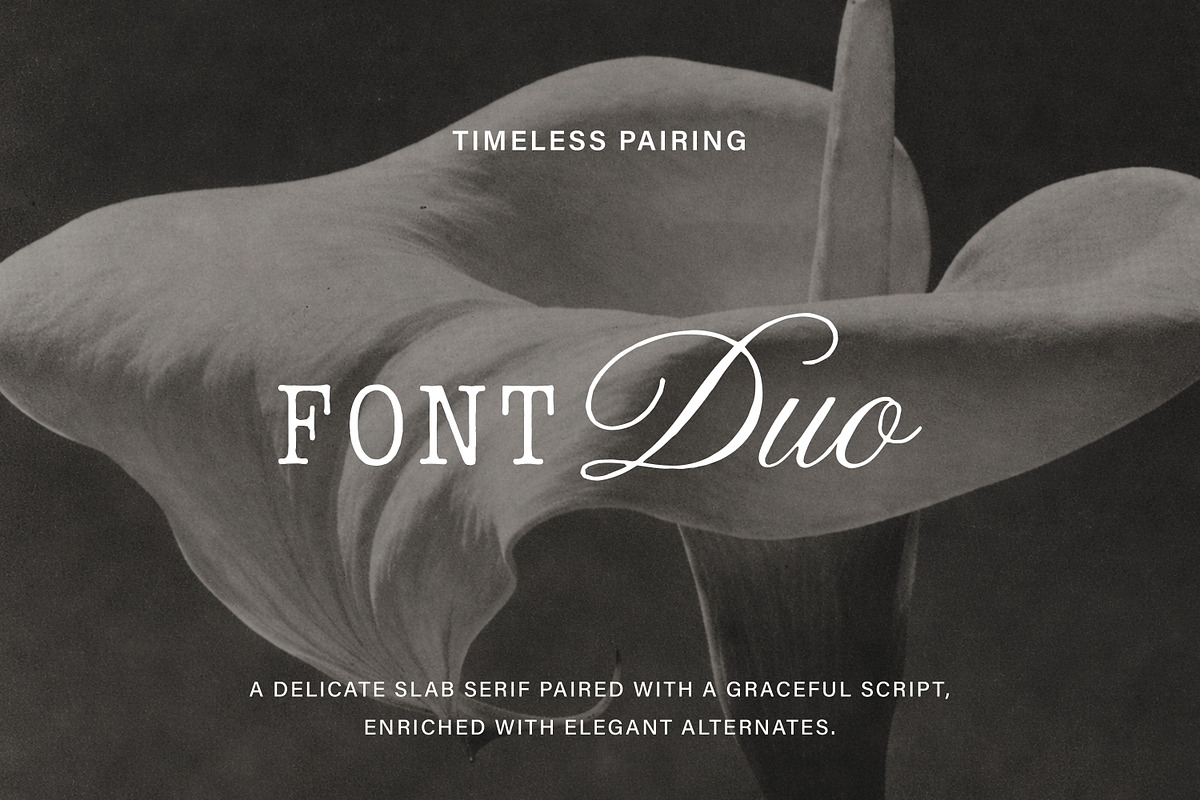 Details - Refined Font Duo, a Script Font by Davide Bassu (Photo 4 of 17)