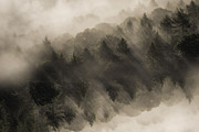 Foggy Mountain Slide Template, a Presentation Template by DesignedBetter (Thumbnail 7 of 7)