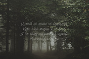 Tino Script, a Script Font by chekart (Thumbnail 3 of 5)