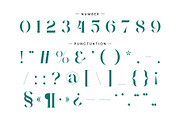 Negita Serif Font, a Serif Font by Idea Studio (Thumbnail 11 of 12)