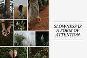 Forest Stock Photos | Moody Woodland, a Nature Photo by Tale.Haus (Thumbnail 12 of 20)