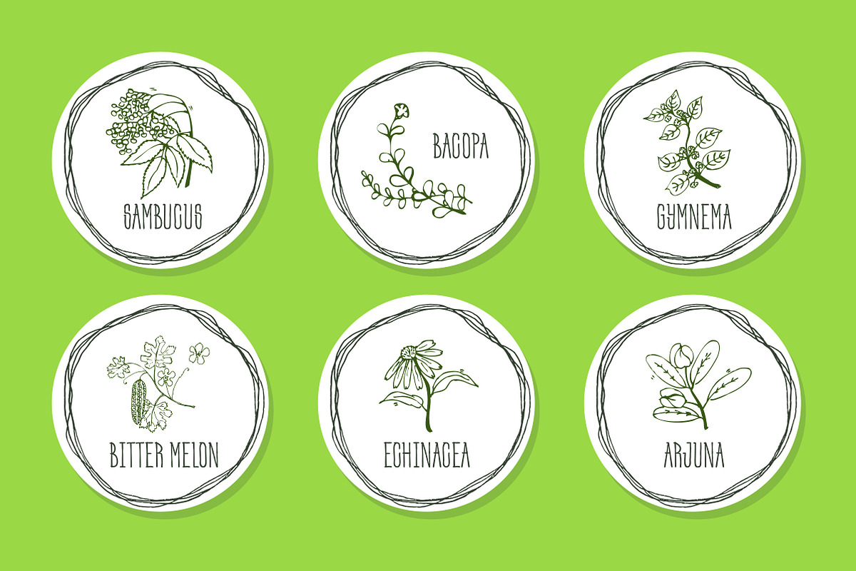 Ayurvedic Herb Collection, an Object Graphic by AV Design (Photo 4 of 5)