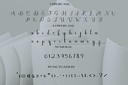 Embroidery, a Handwritten Font by InermediaSTUDIO (Thumbnail 3 of 8)