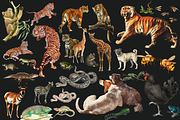 SALE! Collage Art Creator Pack 1400+, an Animal Illustration by Lilithcollageart (Thumbnail 5 of 19)