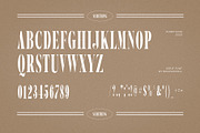 SureThing Elegant Serif Font, a Serif Font by Graphicxell (Thumbnail 10 of 10)