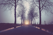 Foggy Day Lightroom Preset, an Action Add-On by Daniel Bartel (Thumbnail 7 of 7)