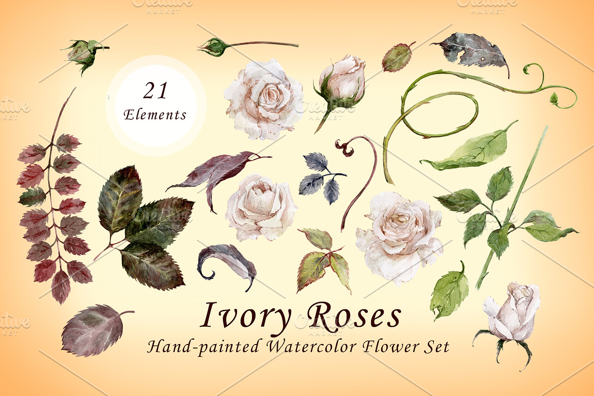 Ivory Roses - Watercolor Floral Set, an Illustration by Nadiia Hanina (Photo 2 of 3)