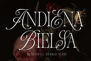 Andiena Bielsa - Hybrid Serif, a Serif Font by Arterfak Project (Thumbnail 1 of 12)