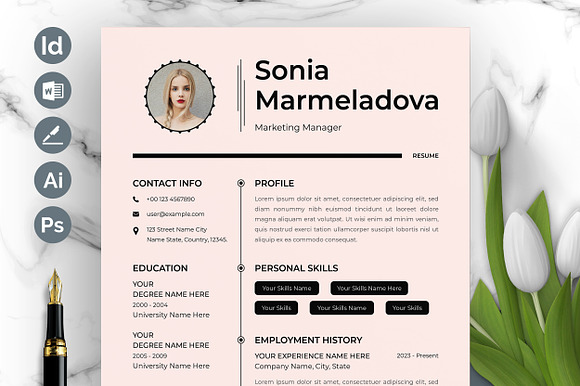 One-Page Resume for Professionals preview 6