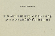 Mallorga A Modern Serif Font, a Serif Font by rmdndsign (Thumbnail 7 of 8)