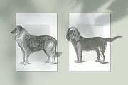 Dogs Vintage Illustrations, an Illustration by Retro Machine (Thumbnail 8 of 25)