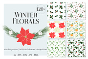 Winter floral clipart collection, an Illustration by lilisprints (Thumbnail 1 of 7)