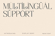 Magisse Display Serif Font, a Serif Font by Storytype Studio (Thumbnail 12 of 15)