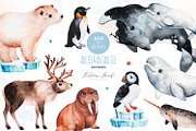 Arctic&Antarctic animals, an Animal Illustration by Kate_Rina (Thumbnail 1 of 4)