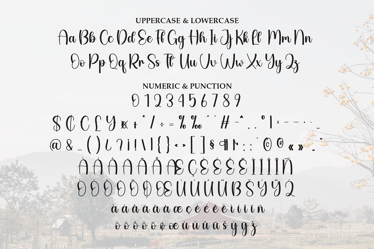 Farmhouse | Script Font, a Handwritten Font by Scratchones (Photo 7 of 9)