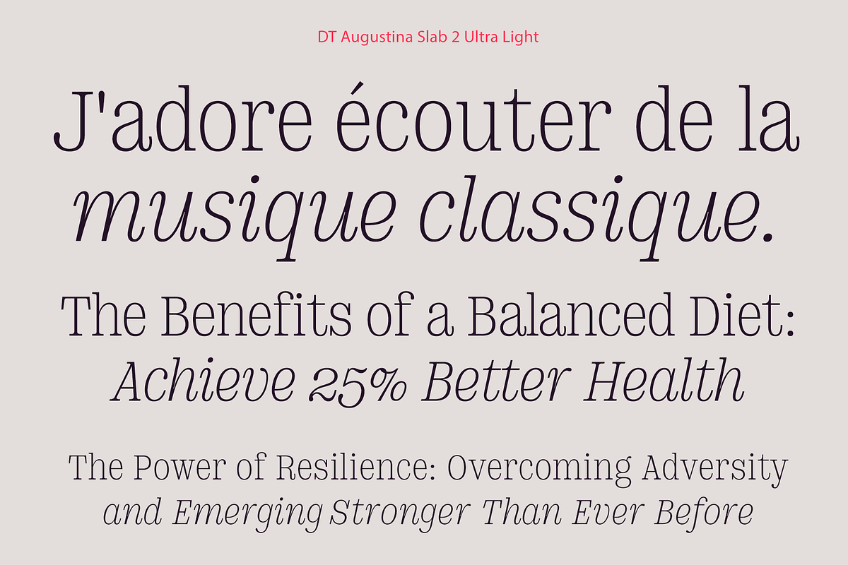 DT Augustina Slab 2 Subfamily, a Slab Serif Font by Deveze Type Foundry (Photo 4 of 30)