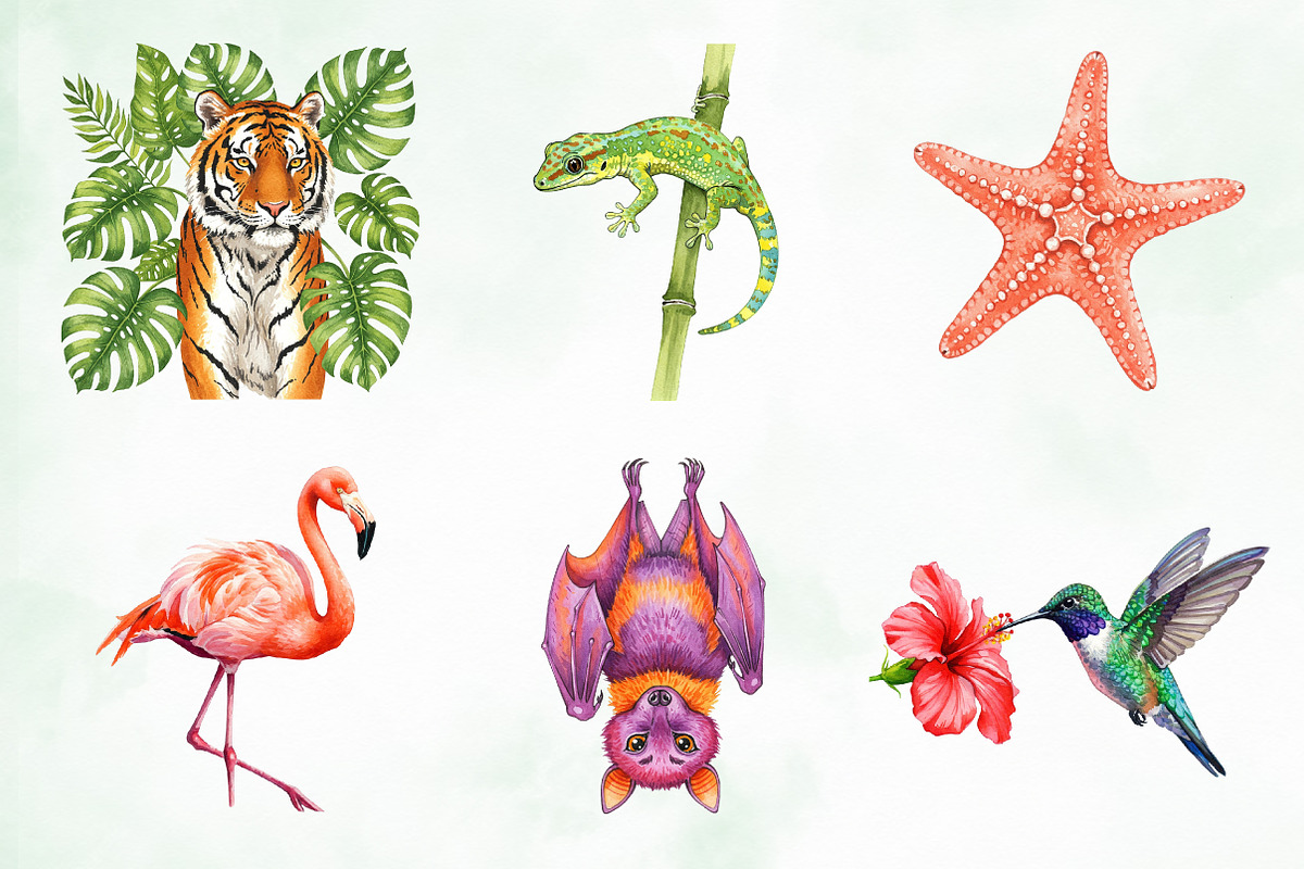 Watercolor Tropical Animals Clipart, an Illustration by Creative Art (Photo 4 of 9)