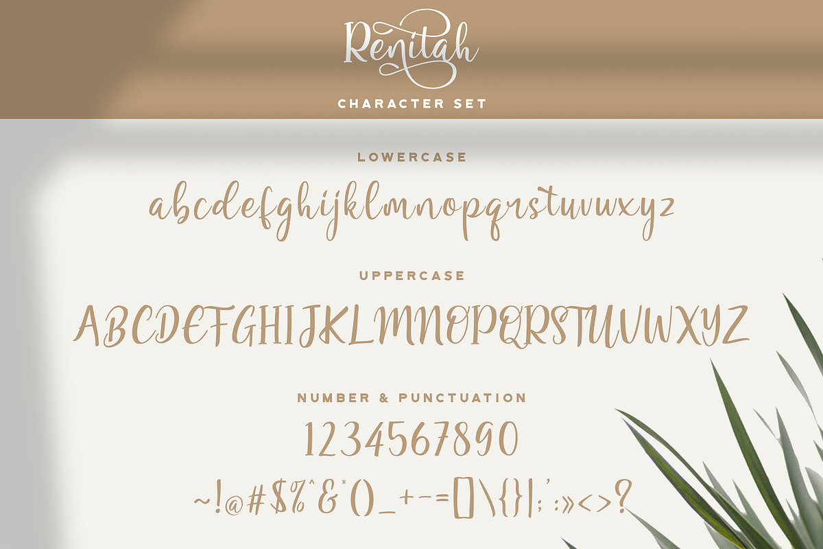 Renitah - Lovely Script Font, a Script Font by StringLabs (Photo 10 of 12)