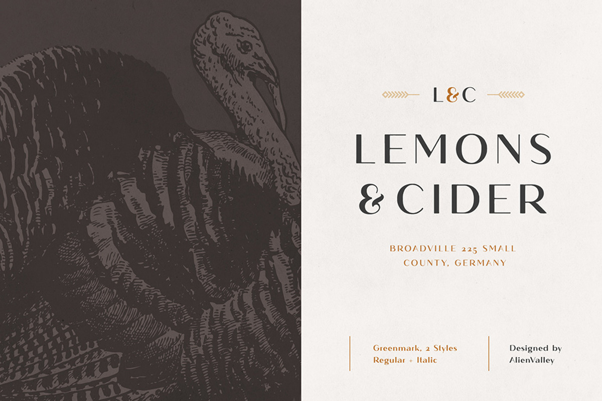 The Versatile Font Bundle, a Sans Serif Font by AlienValley (Photo 130 of 141)