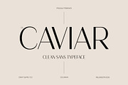 CS Caviar – Clean Sans Serif, a Sans Serif Font by Craft Supply Co. (Thumbnail 1 of 8)