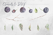 Forest huckleberry berries, a Food Illustration by MsFlaffy (Thumbnail 3 of 11)