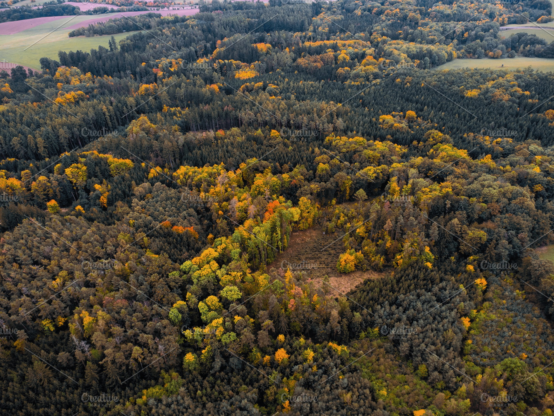 Autumn #2, a Nature Photo by jakub_kopecky