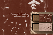 CYANOTYPE Botanical Backgrounds, a Background Graphic by Alisovna (Thumbnail 11 of 15)