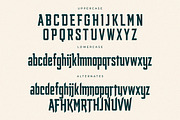 Smith Buck Modern Sans Serif, a Sans Serif Font by Storytype Studio (Thumbnail 12 of 15)