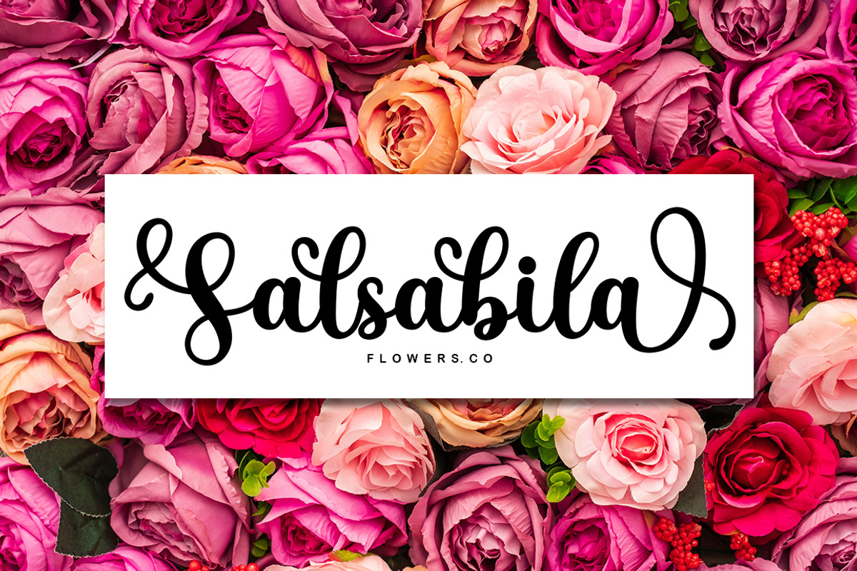 Stylish Script, a Script Font by Bosstype Studio (Photo 5 of 7)