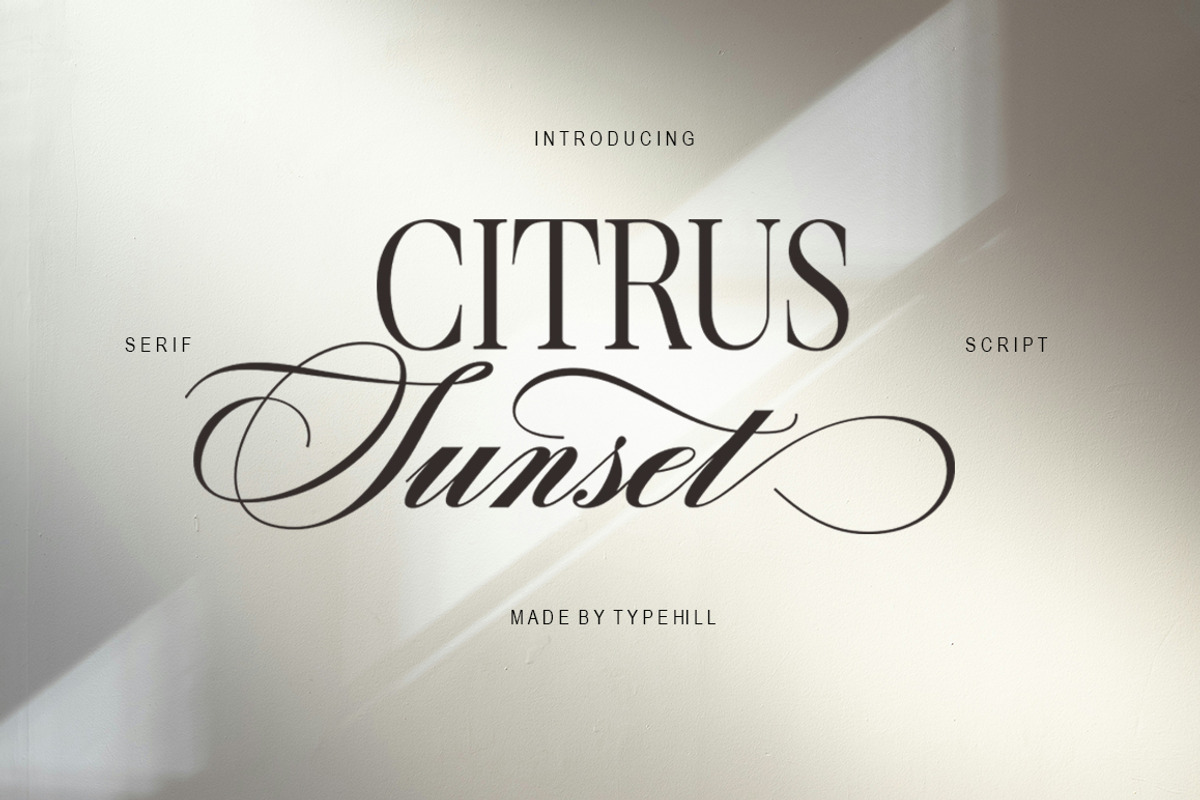Citrus Sunset, a Script Font by Typehill (Photo 1 of 15)