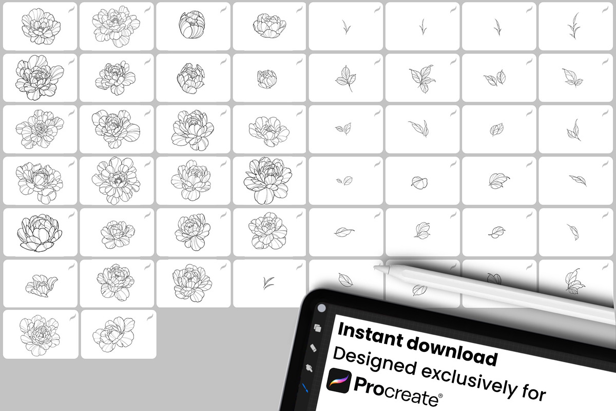 Peony Lines, Procreate Stamp Brushes, a Brush Add-On by InkRef (Photo 4 of 4)