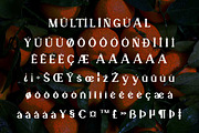 Veronika Display Font, a Serif Font by Cut Story (Thumbnail 14 of 14)