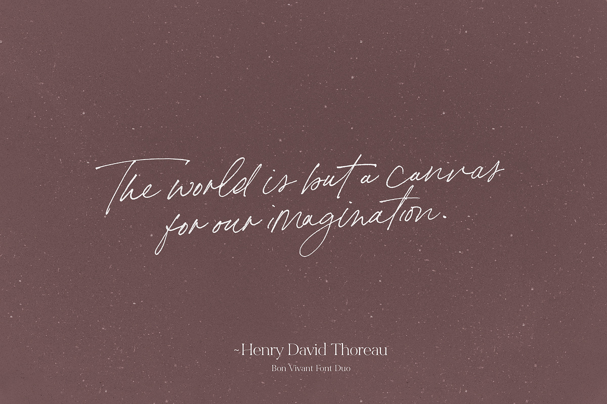 Bon Vivant Collection, a Serif Font by Nicky Laatz (Photo 28 of 44)