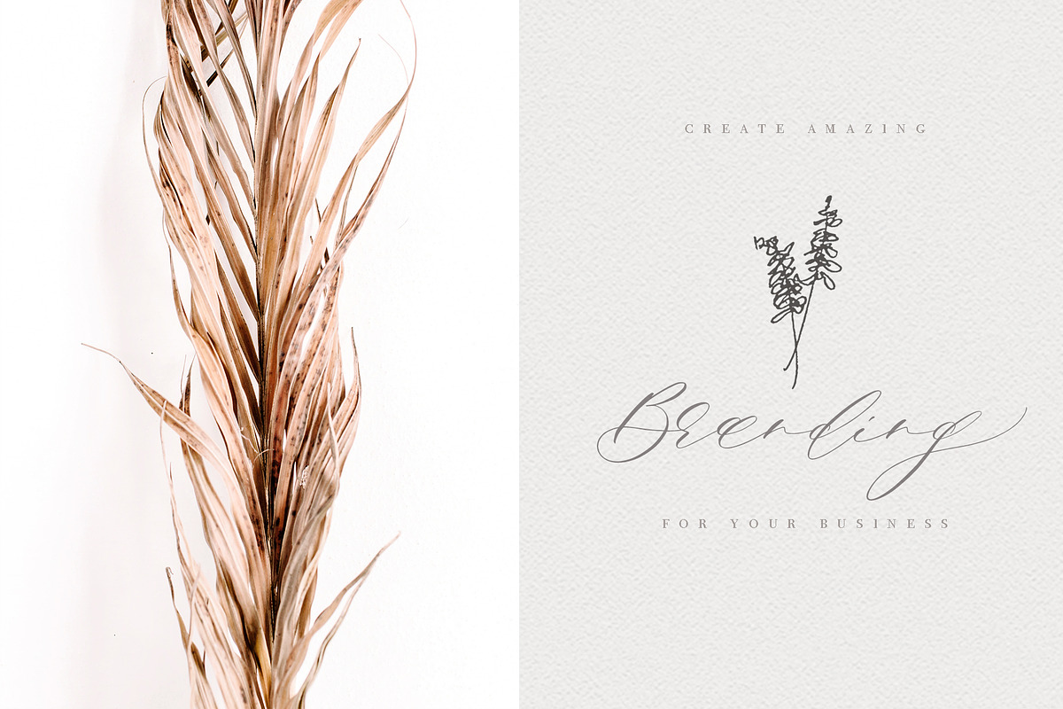 Giselle Script, a Script Font by Calamar Studio (Photo 14 of 19)