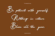 CS Aisling Stamp, a Script Font by Craft Supply Co. (Thumbnail 3 of 7)