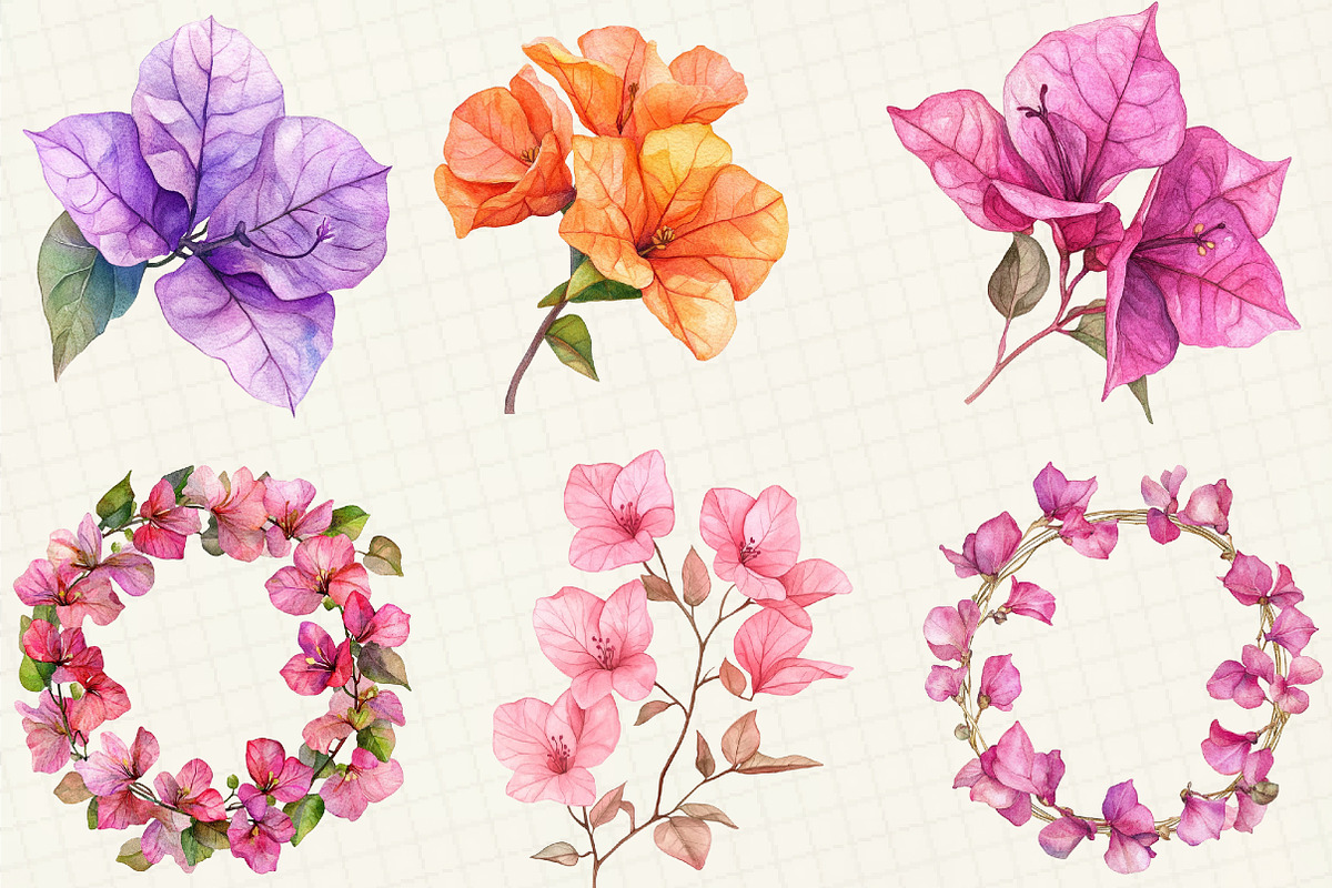 Bougainvillea Flower Clipart, an Illustration by OK Design (Photo 3 of 5)