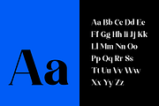 Catalyone - Fashion Font, a Serif Font by RockboyStd (Thumbnail 9 of 12)