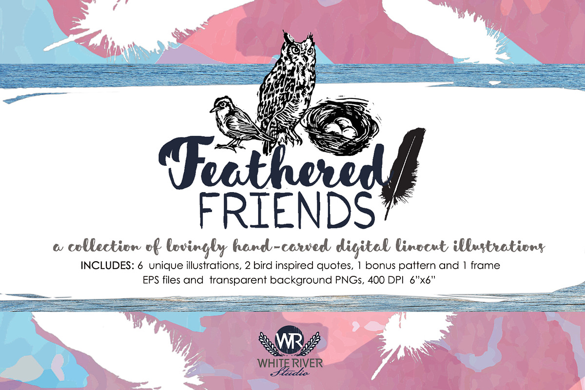 Feathered Friends Linocuts, an Illustration by WhiteRiverStudio (Photo 1 of 10)