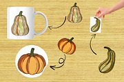 Autumn Harvest: Pumpkin & Squash, a Pattern Graphic by Elatedowl (Thumbnail 7 of 13)