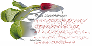 Prima Script, a Script Font by Wiescher-Design (Thumbnail 8 of 10)